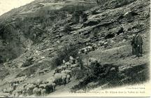 Un Alpage dans la Vallée du Guil
