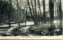 Bois de Charance , effet de Neige